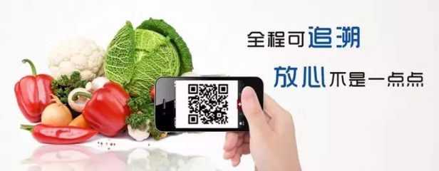互聯(lián)網(wǎng)賦能永州食品農(nóng)產(chǎn)品出口 近四年年均增長61.8%的數(shù)字化突圍之路