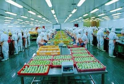 山東食品加工 互聯(lián)網(wǎng)開啟食品新模式，引領(lǐng)產(chǎn)業(yè)升級新篇章